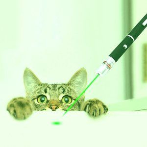 Cat Toy for Kitten and Dogs, UV Flashlight